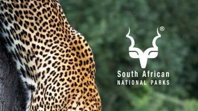 South African National Parks logo: A symbol representing the organization, offering an opportunity for a General Worker Position.