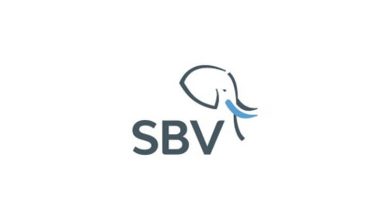 An elephant with a blue ribbon in its mouth signifies success in the SBV: YES Learnership Programme 2025 for Cash Processor.