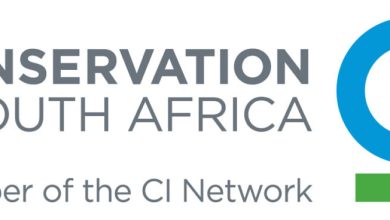 Conservation South Africa logo associated with the Blue Economy Learnership 2025, showcasing a modern blue and green design.