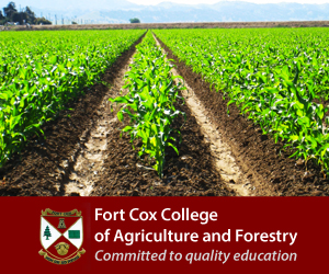 Fort Cox College of Agriculture and Forestry logo promoting the 2025 Graduate Internship Programme.